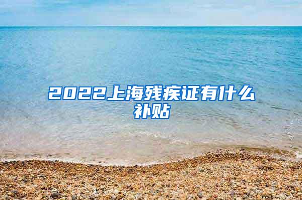 2022上海残疾证有什么补贴