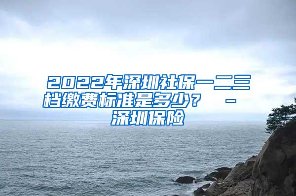 2022年深圳社保一二三档缴费标准是多少？ – 深圳保险