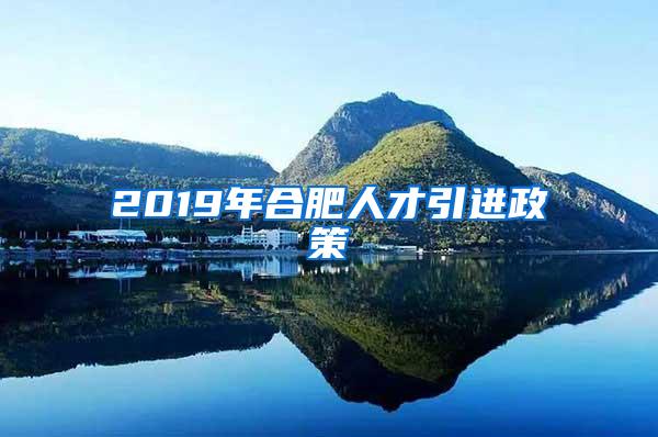 2019年合肥人才引进政策