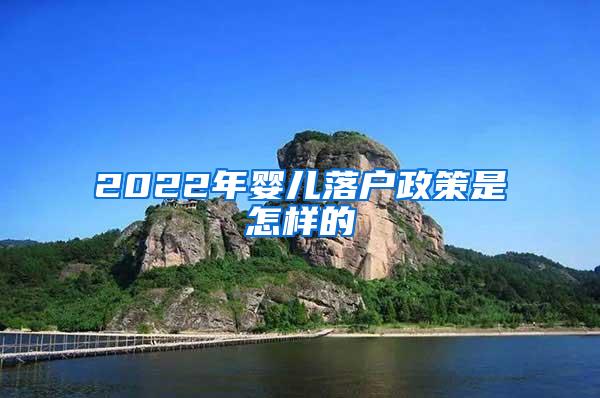 2022年婴儿落户政策是怎样的