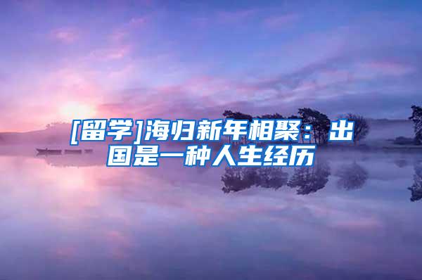 [留学]海归新年相聚：出国是一种人生经历