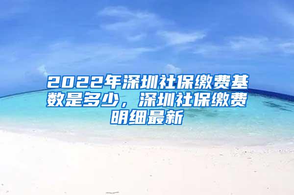2022年深圳社保缴费基数是多少，深圳社保缴费明细最新