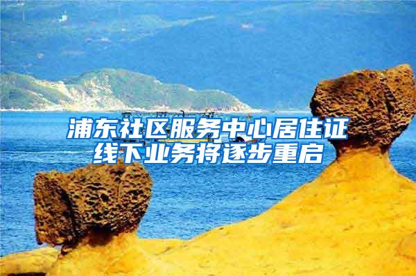 浦东社区服务中心居住证线下业务将逐步重启