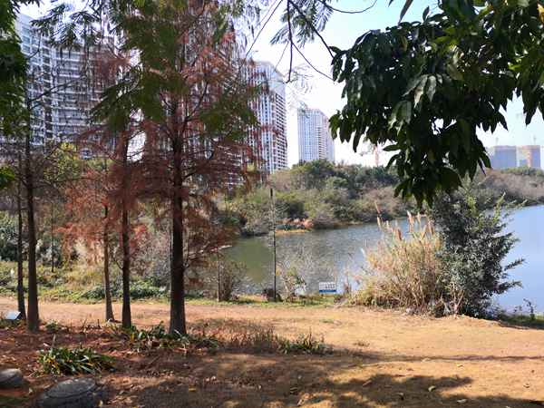 小孩怎么入户深圳