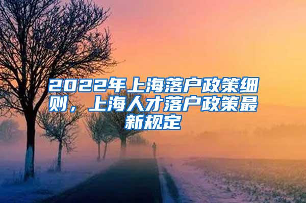 2022年上海落户政策细则，上海人才落户政策最新规定