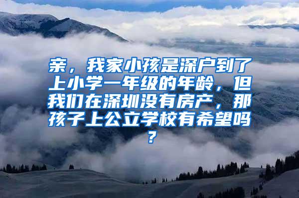 亲，我家小孩是深户到了上小学一年级的年龄，但我们在深圳没有房产，那孩子上公立学校有希望吗？