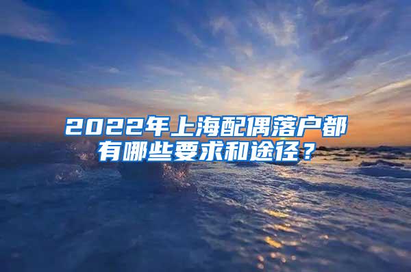 2022年上海配偶落户都有哪些要求和途径？