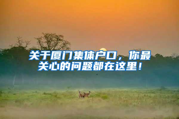关于厦门集体户口，你最关心的问题都在这里！