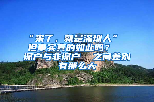 “来了，就是深圳人”  但事实真的如此吗？  深户与非深户  之间差别有那么大