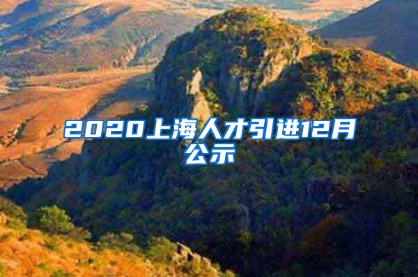 2020上海人才引进12月公示