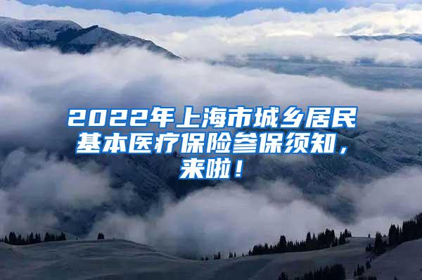 2022年上海市城乡居民基本医疗保险参保须知，来啦！