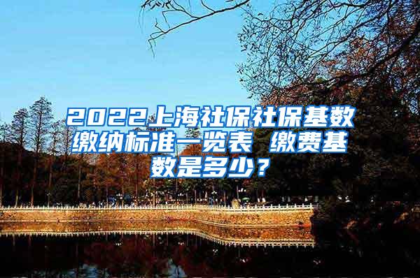 2022上海社保社保基数缴纳标准一览表 缴费基数是多少？