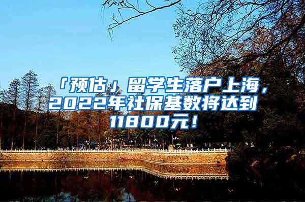 「预估」留学生落户上海，2022年社保基数将达到11800元！