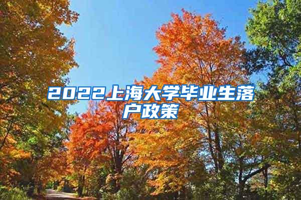 2022上海大学毕业生落户政策