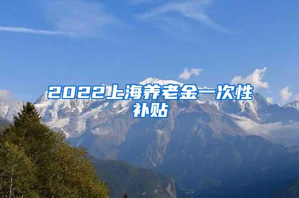 2022上海养老金一次性补贴