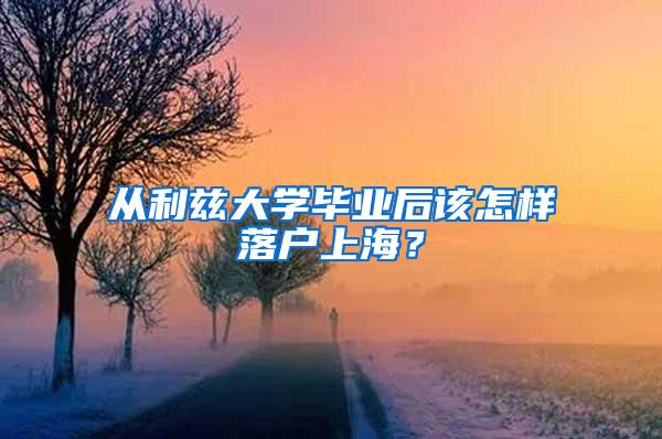 从利兹大学毕业后该怎样落户上海？