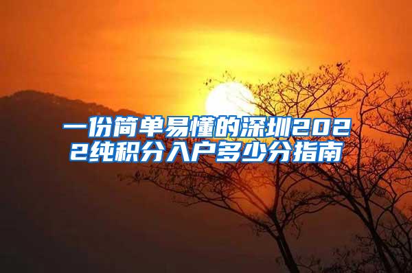 一份简单易懂的深圳2022纯积分入户多少分指南