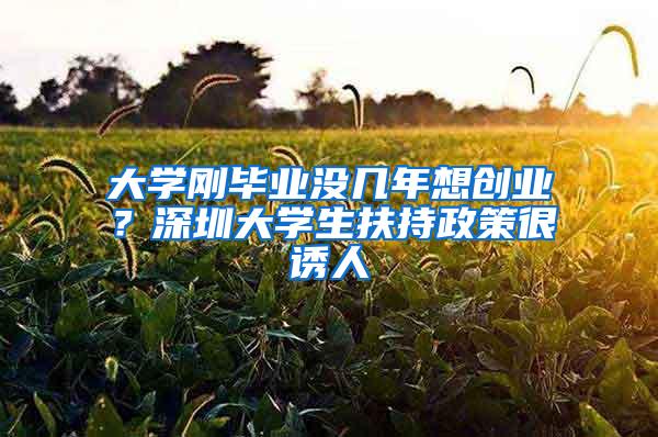 大学刚毕业没几年想创业？深圳大学生扶持政策很诱人