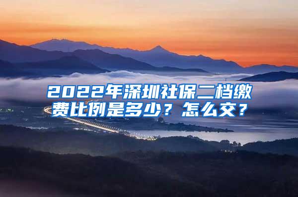 2022年深圳社保二档缴费比例是多少？怎么交？