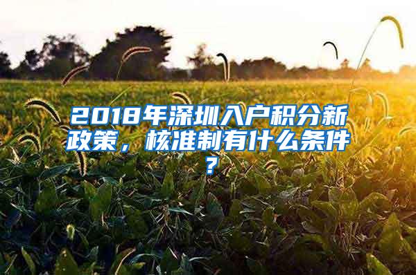 2018年深圳入户积分新政策，核准制有什么条件？