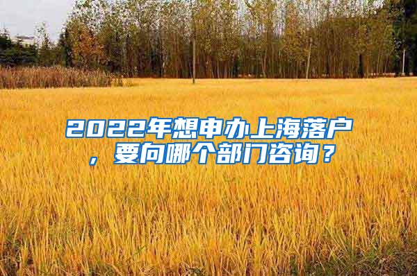 2022年想申办上海落户，要向哪个部门咨询？