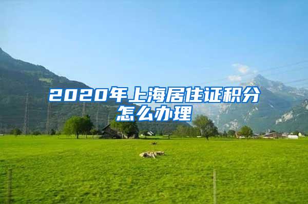 2020年上海居住证积分怎么办理