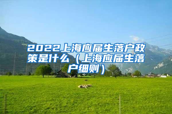 2022上海应届生落户政策是什么（上海应届生落户细则）