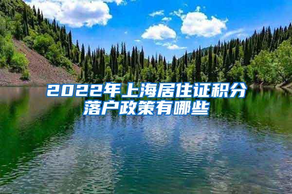 2022年上海居住证积分落户政策有哪些