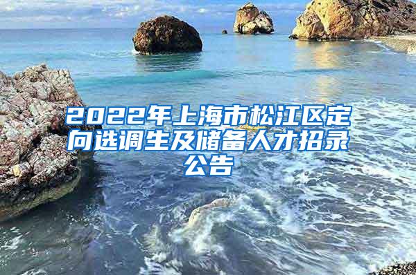 2022年上海市松江区定向选调生及储备人才招录公告