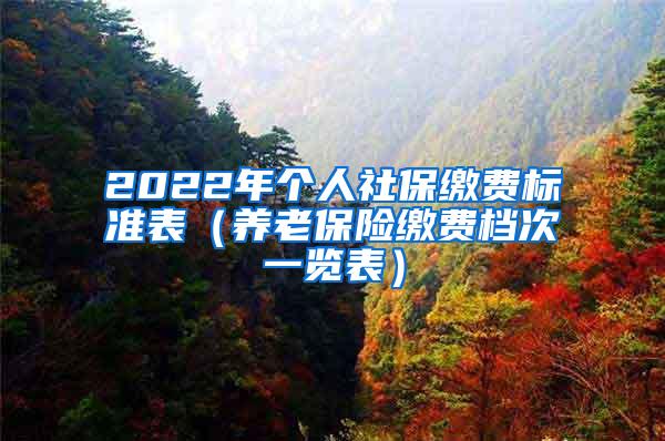 2022年个人社保缴费标准表（养老保险缴费档次一览表）