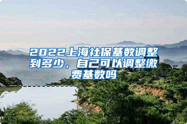 2022上海社保基数调整到多少，自己可以调整缴费基数吗