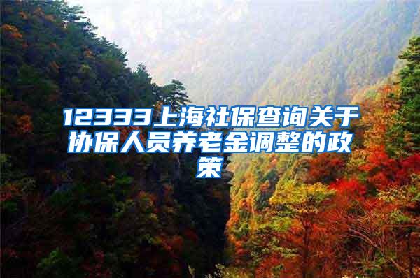 12333上海社保查询关于协保人员养老金调整的政策