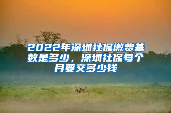 2022年深圳社保缴费基数是多少，深圳社保每个月要交多少钱