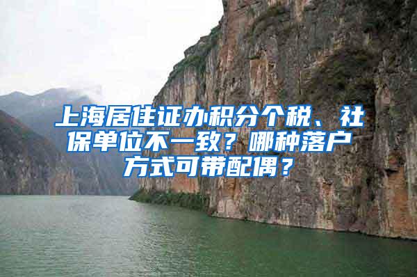 上海居住证办积分个税、社保单位不一致？哪种落户方式可带配偶？