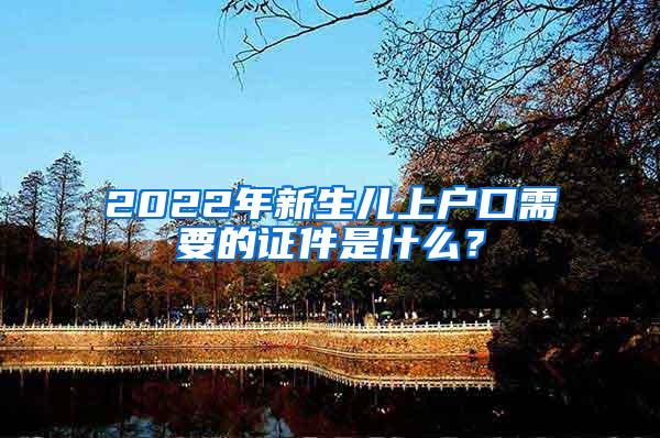 2022年新生儿上户口需要的证件是什么？