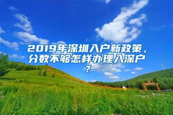 2019年深圳入户新政策，分数不够怎样办理入深户？