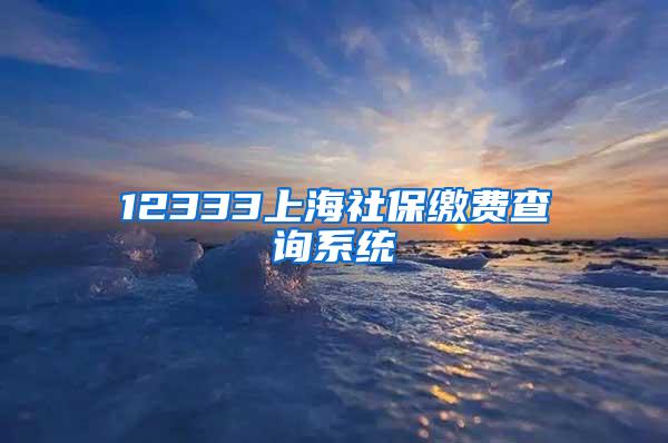 12333上海社保缴费查询系统