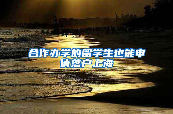 合作办学的留学生也能申请落户上海
