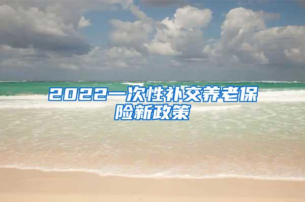 2022一次性补交养老保险新政策