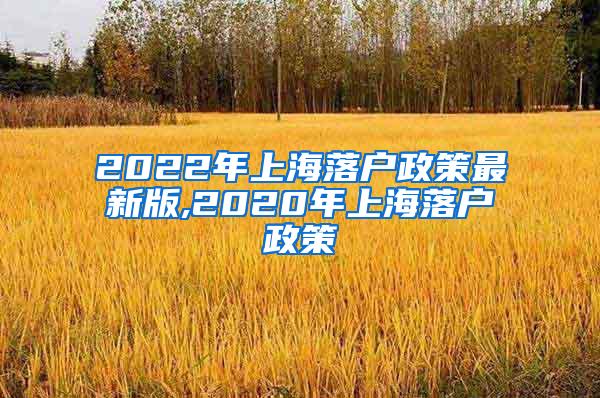 2022年上海落户政策最新版,2020年上海落户政策
