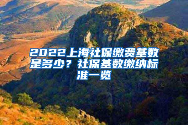 2022上海社保缴费基数是多少？社保基数缴纳标准一览