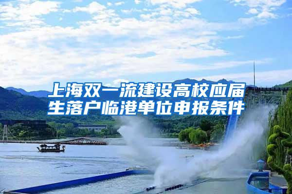 上海双一流建设高校应届生落户临港单位申报条件
