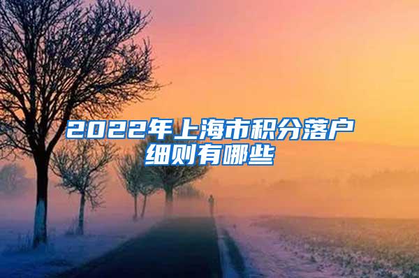 2022年上海市积分落户细则有哪些