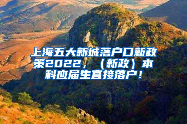 上海五大新城落户口新政策2022，（新政）本科应届生直接落户！