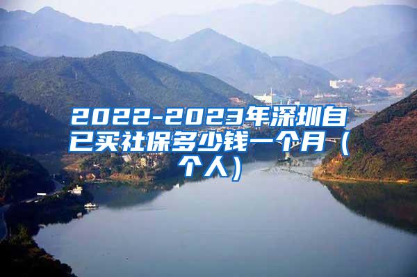 2022-2023年深圳自已买社保多少钱一个月（个人）
