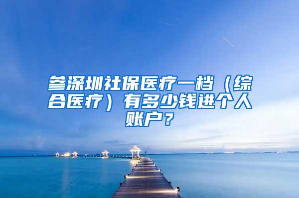 参深圳社保医疗一档（综合医疗）有多少钱进个人账户？