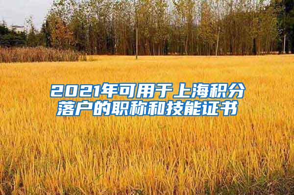 2021年可用于上海积分落户的职称和技能证书