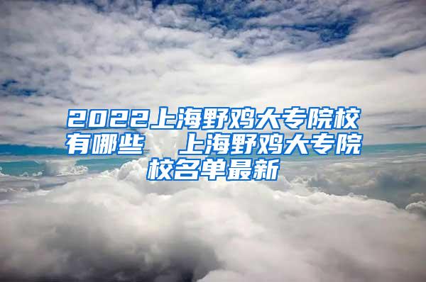 2022上海野鸡大专院校有哪些  上海野鸡大专院校名单最新