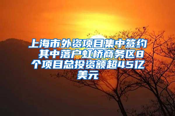 上海市外资项目集中签约 其中落户虹桥商务区8个项目总投资额超45亿美元