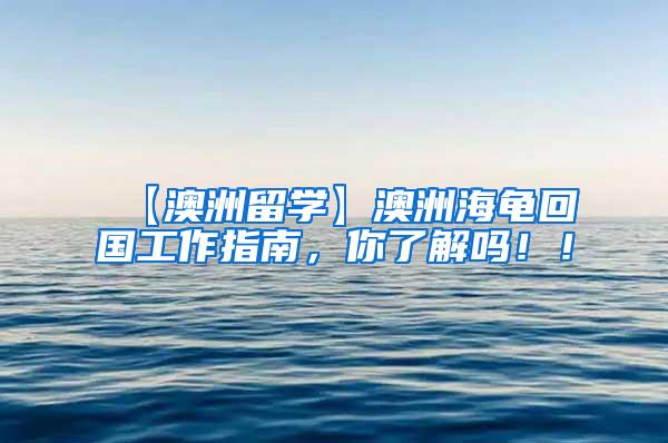 【澳洲留学】澳洲海龟回国工作指南，你了解吗！！